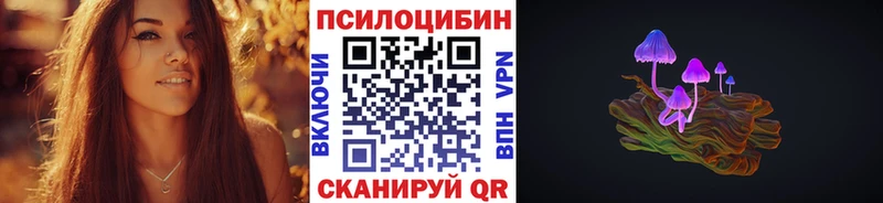 omg ТОР  Ржев  Галлюциногенные грибы Magic Shrooms 